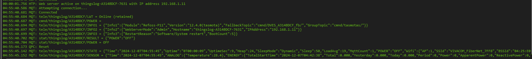 Tasmota console output
